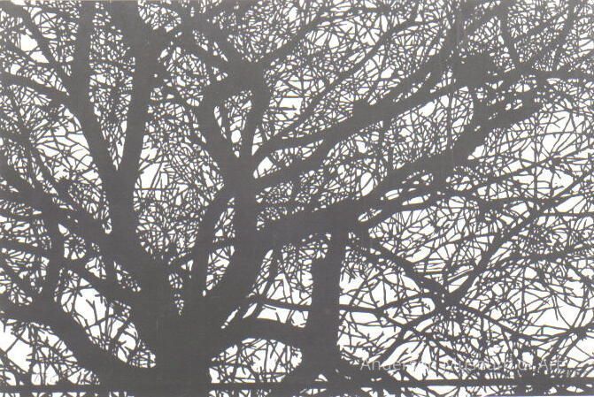          Tree and Railing picture number 1
   