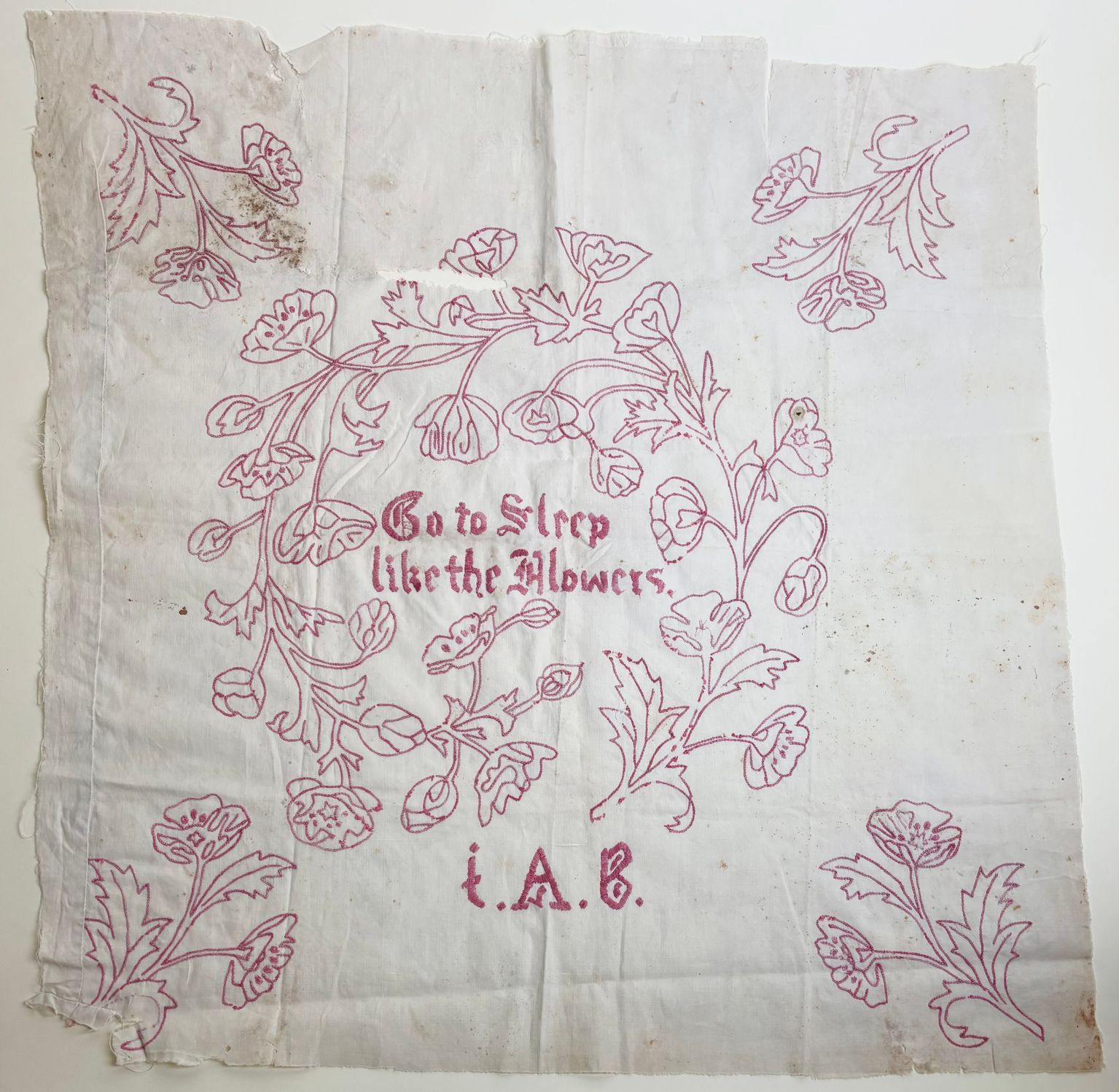 Addison Times Spotlight