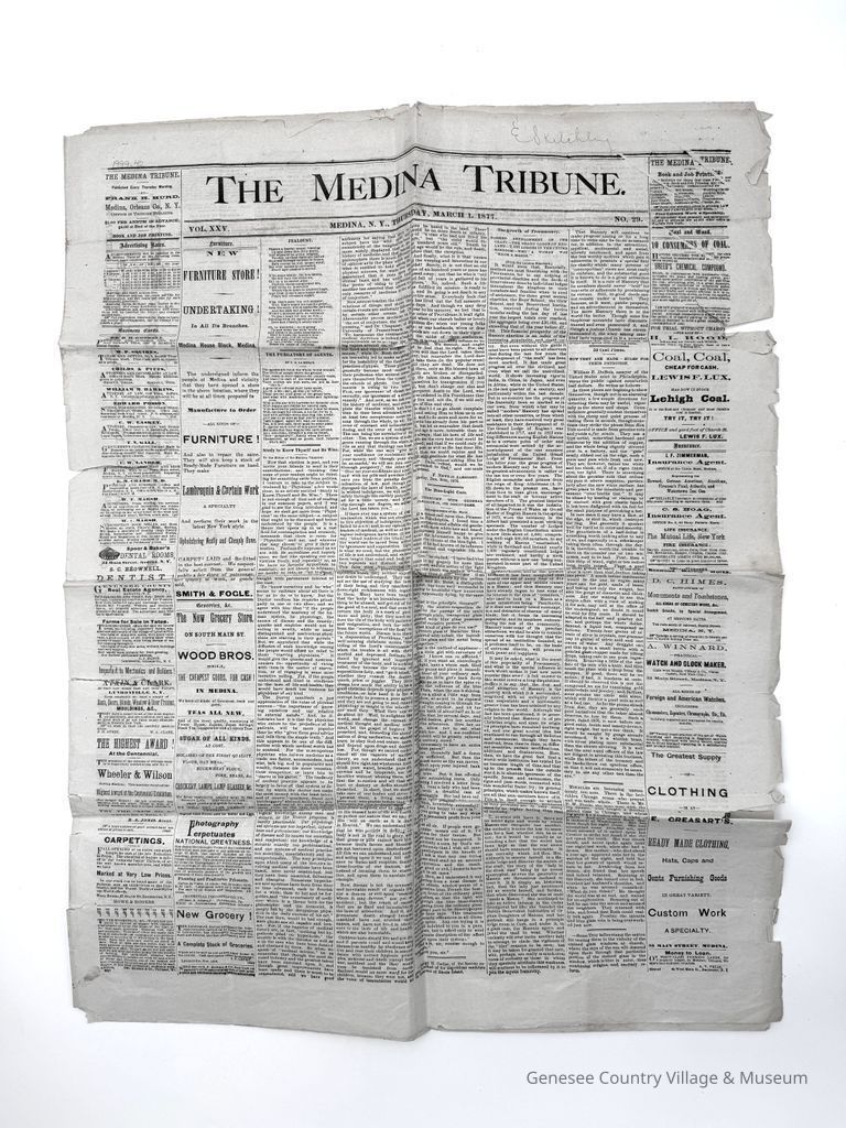 Medina Tribune, The