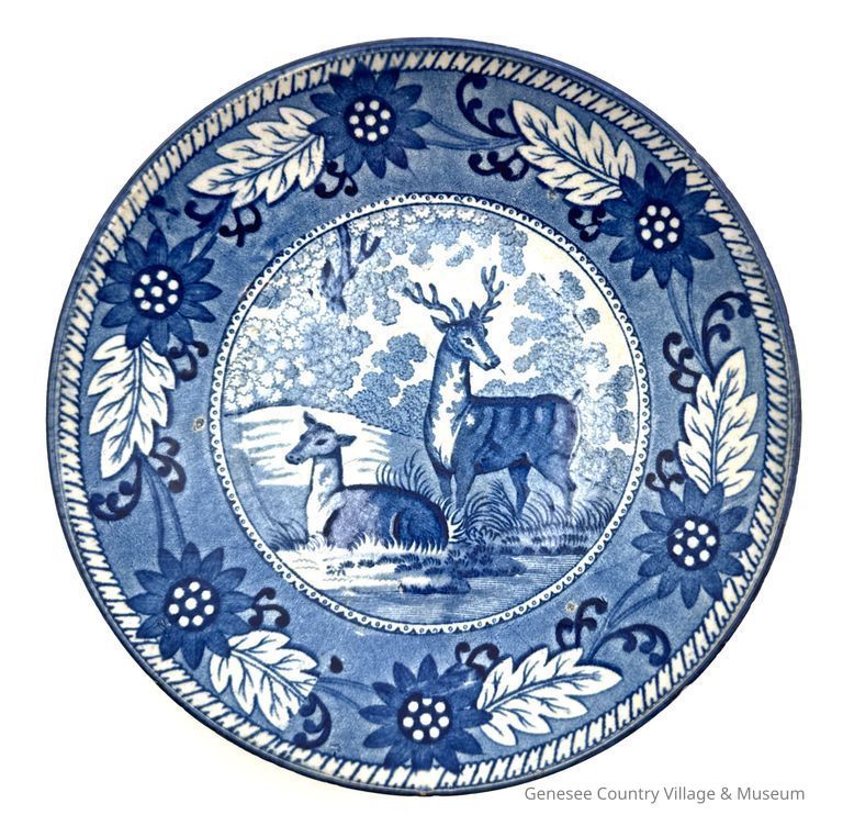 Saucer