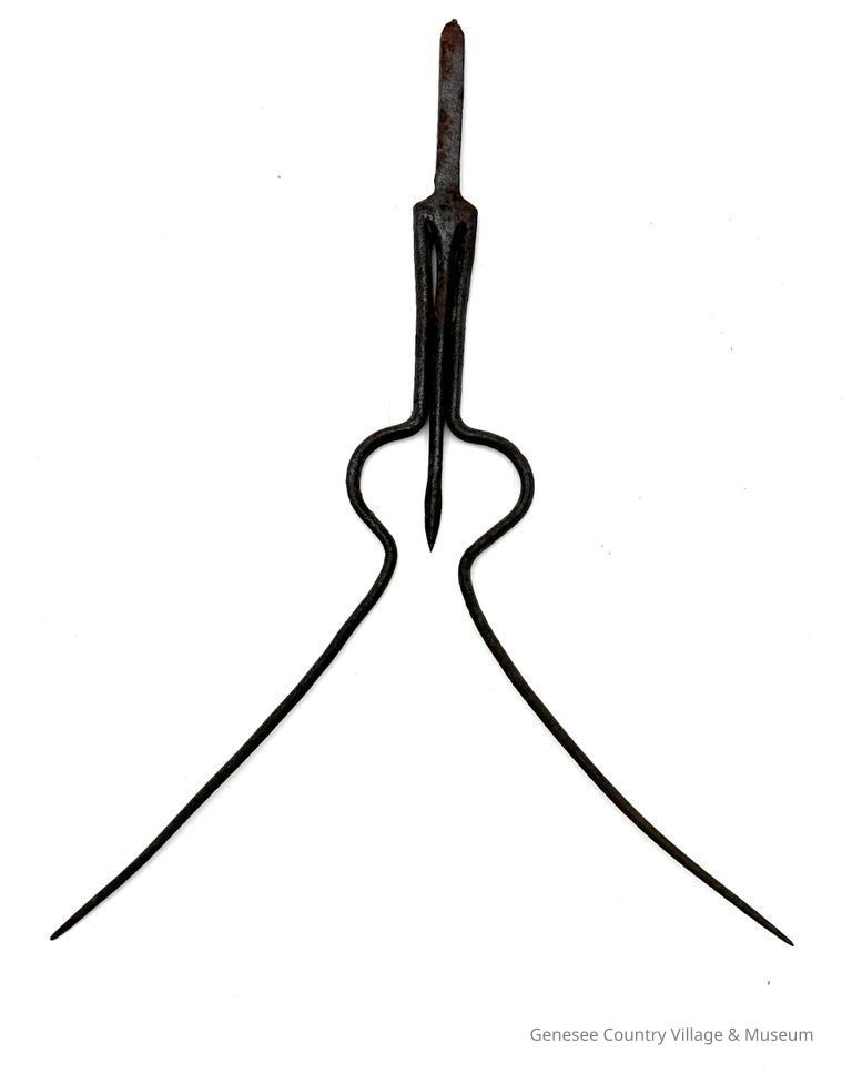 Eel Spear