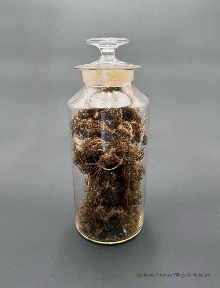 Apothecary Bottle