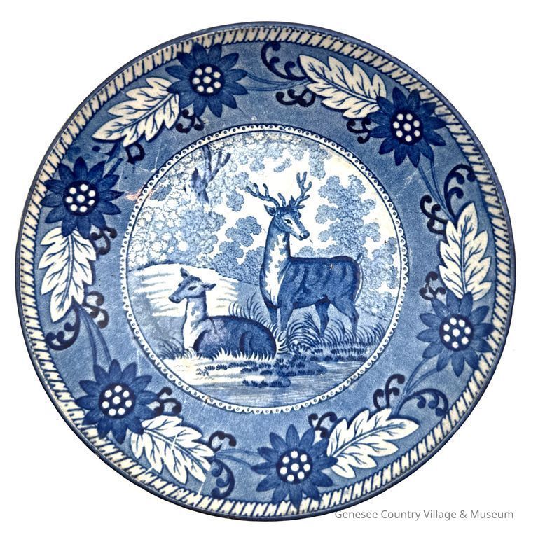 Saucer