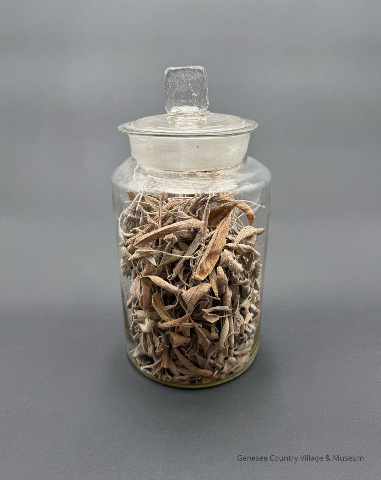 Apothecary Bottle