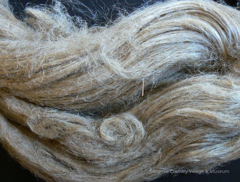 Flax - Image 2