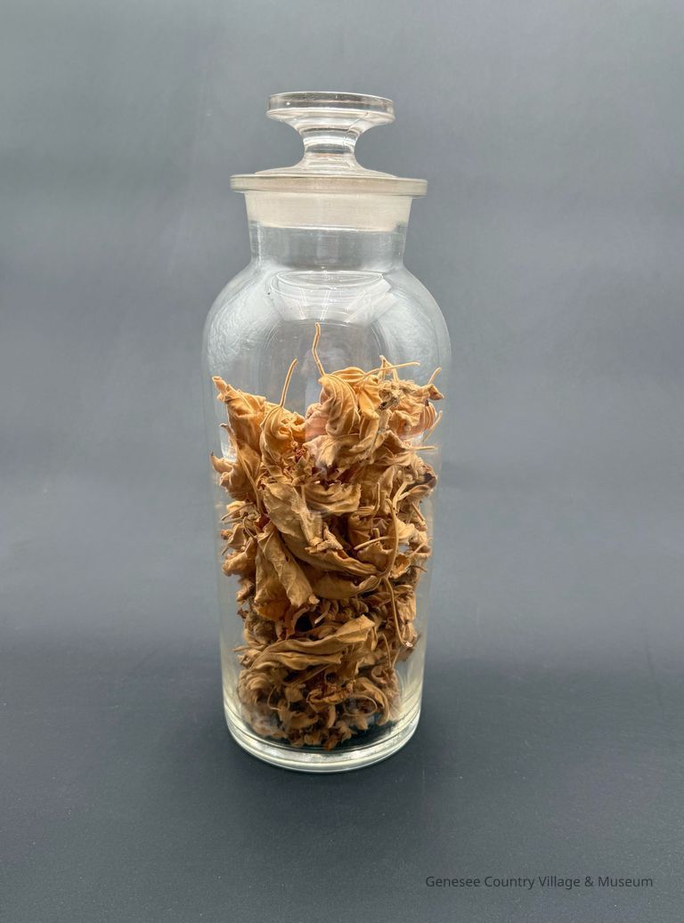 Apothecary Bottle