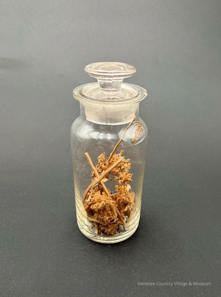 Apothecary Bottle