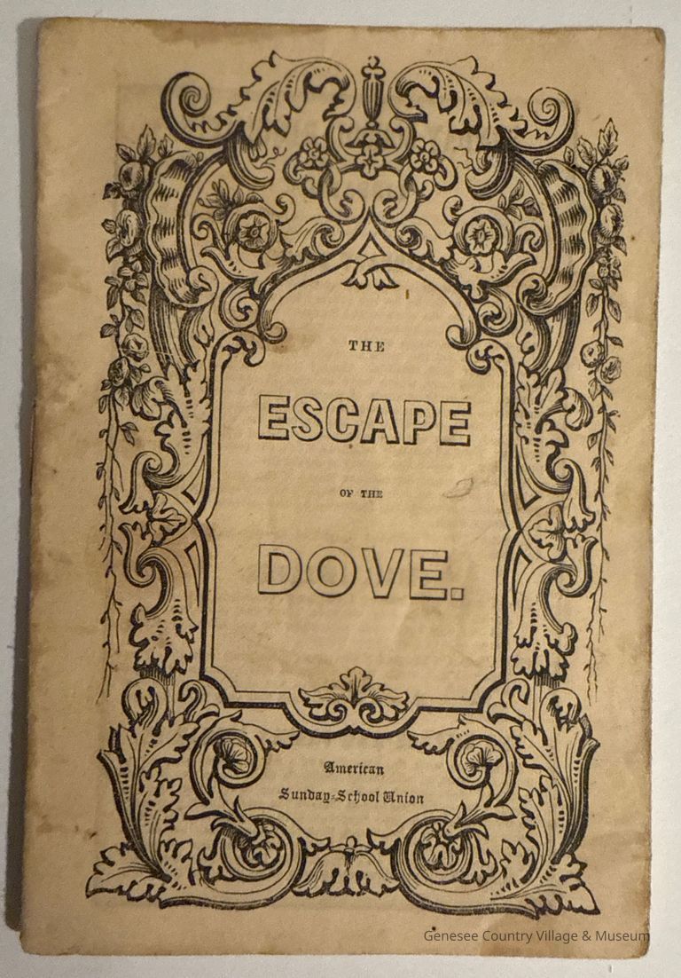 Escape of the Dove, The