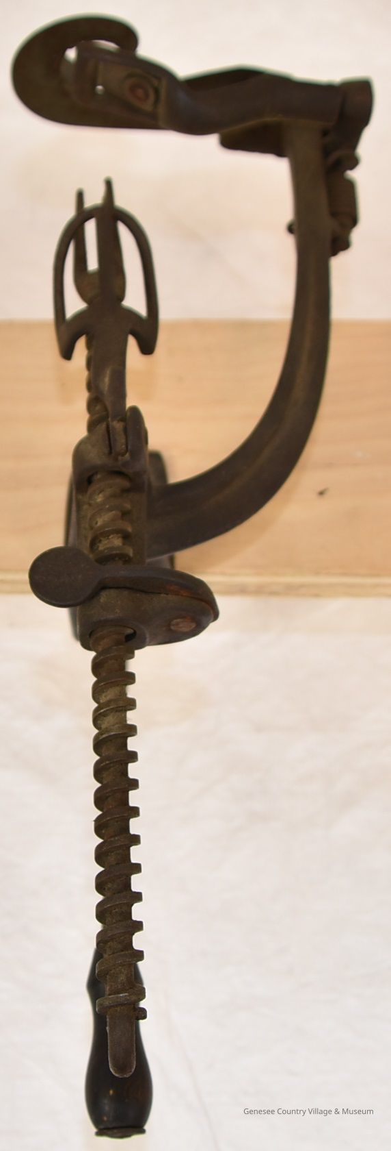 Fruit Peeler - Image 2