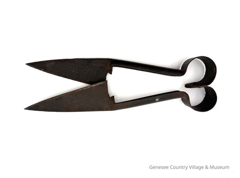 Fabric Shears
