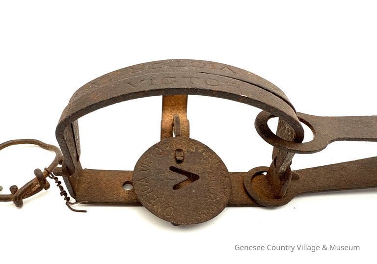 Small Animal Trap