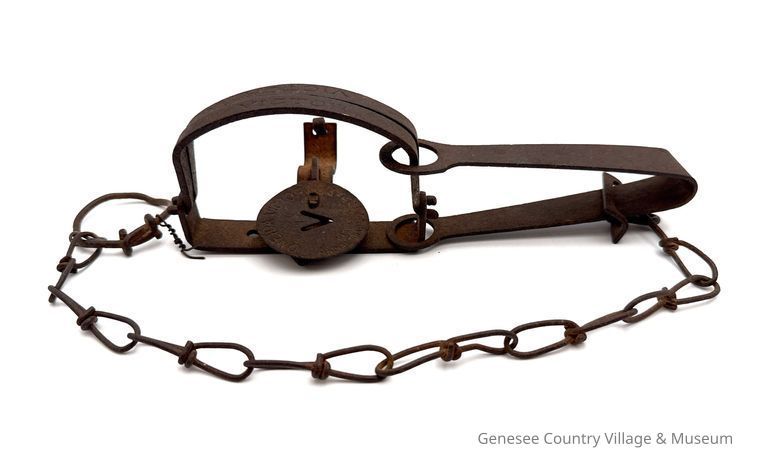 Small Animal Trap - Image 2