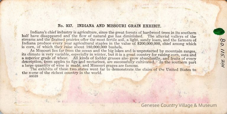 Stereograph - Image 2