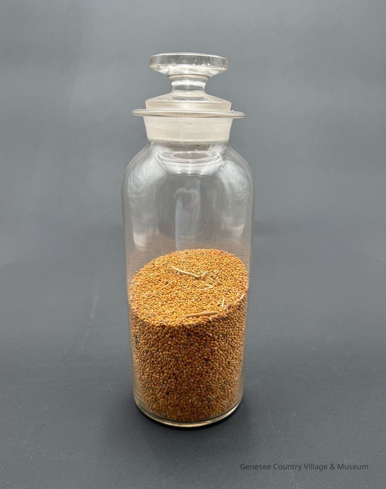 Apothecary Bottle