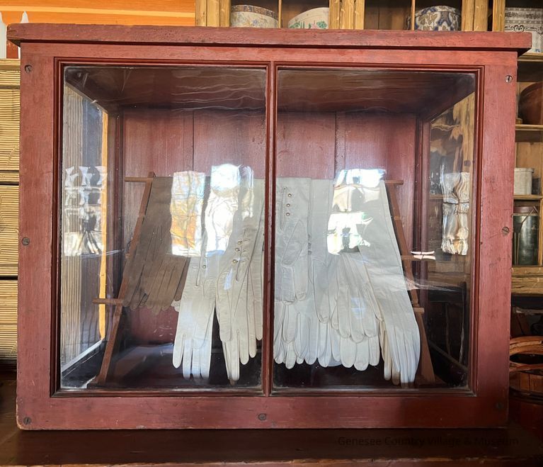 Display Case