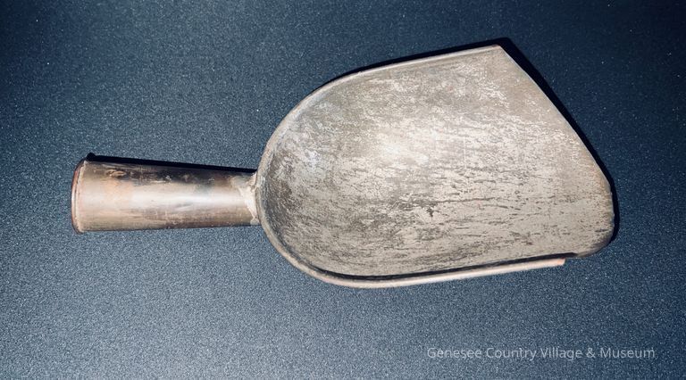 Scale Scoop