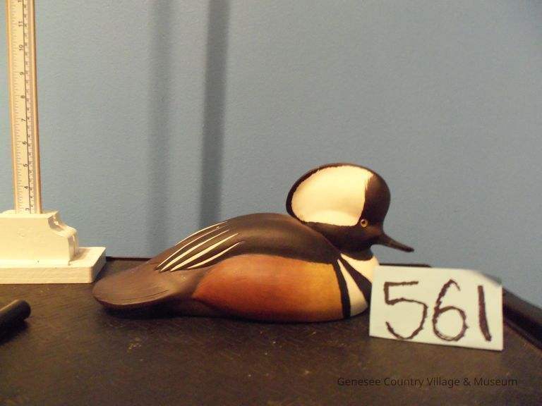 Hooded Merganser