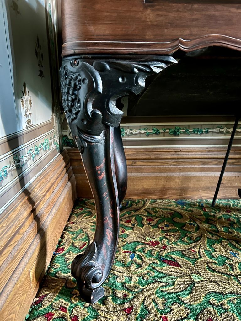 Legs with grape design