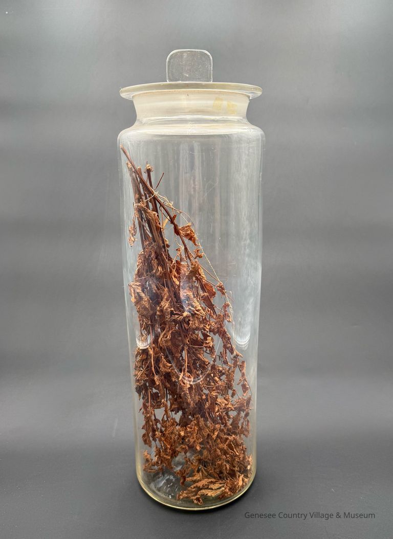 Apothecary Bottle