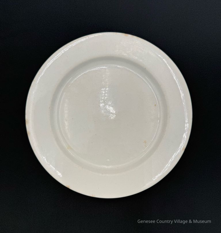 Dinner Plate