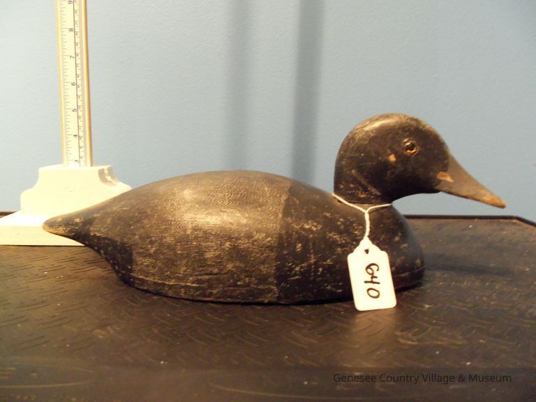 Hollow Bluebill Drake - Image 2