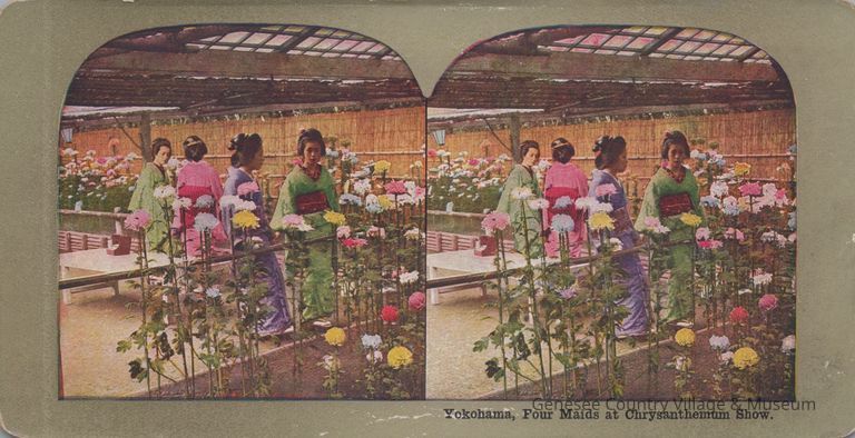 Stereograph