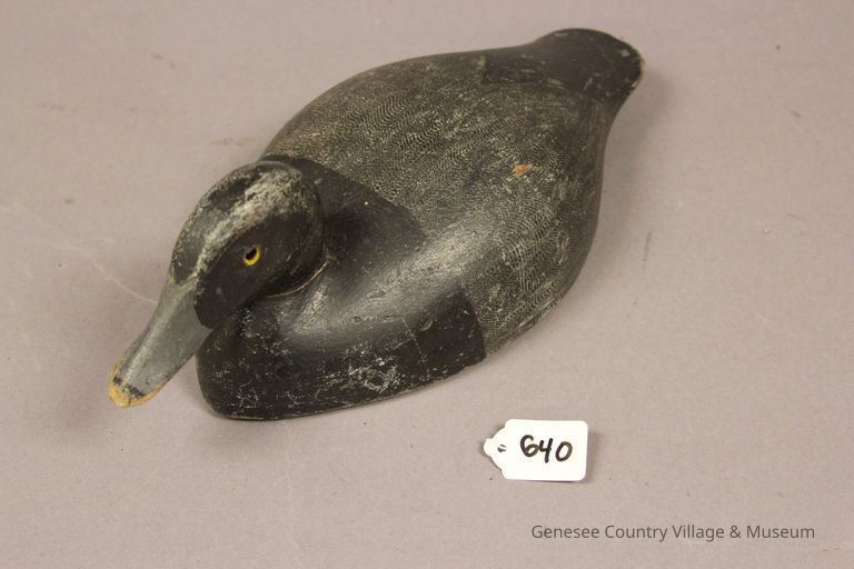 Hollow Bluebill Drake