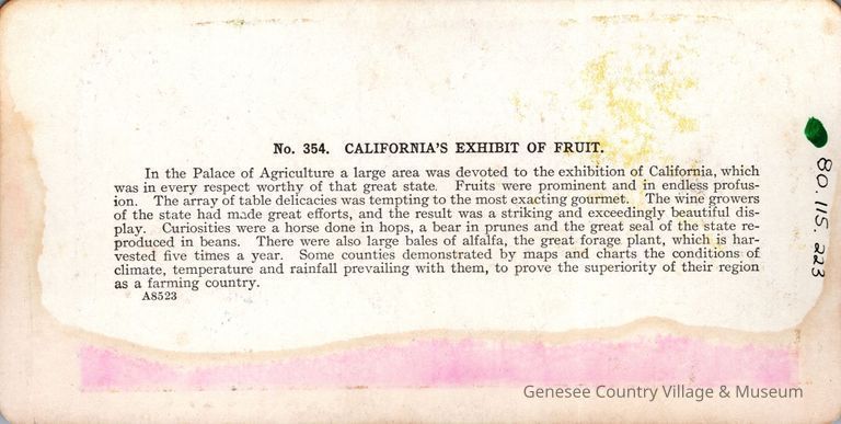 Stereograph - Image 2