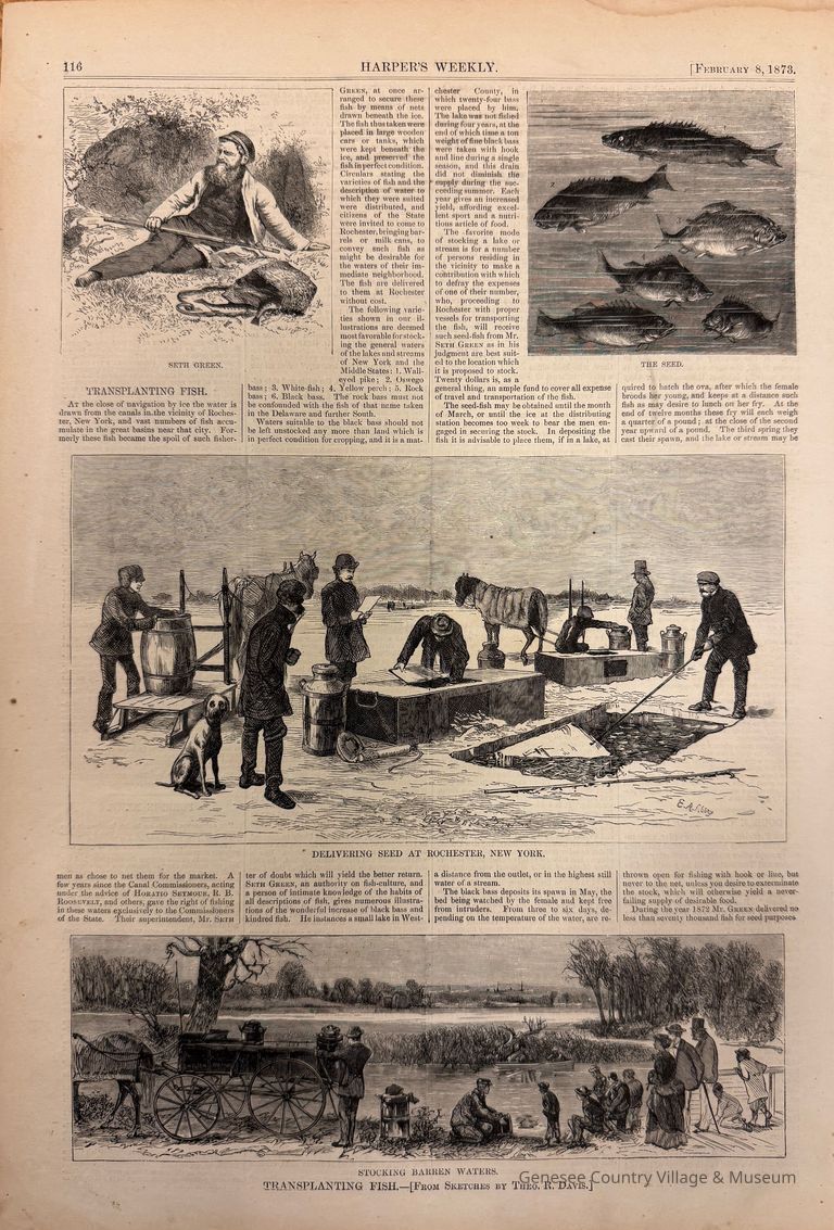 Harper's Weekly Page, 1873