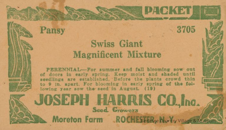 Seed Packet, Pansy