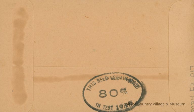 Seed Packet, Pansy - Image 2