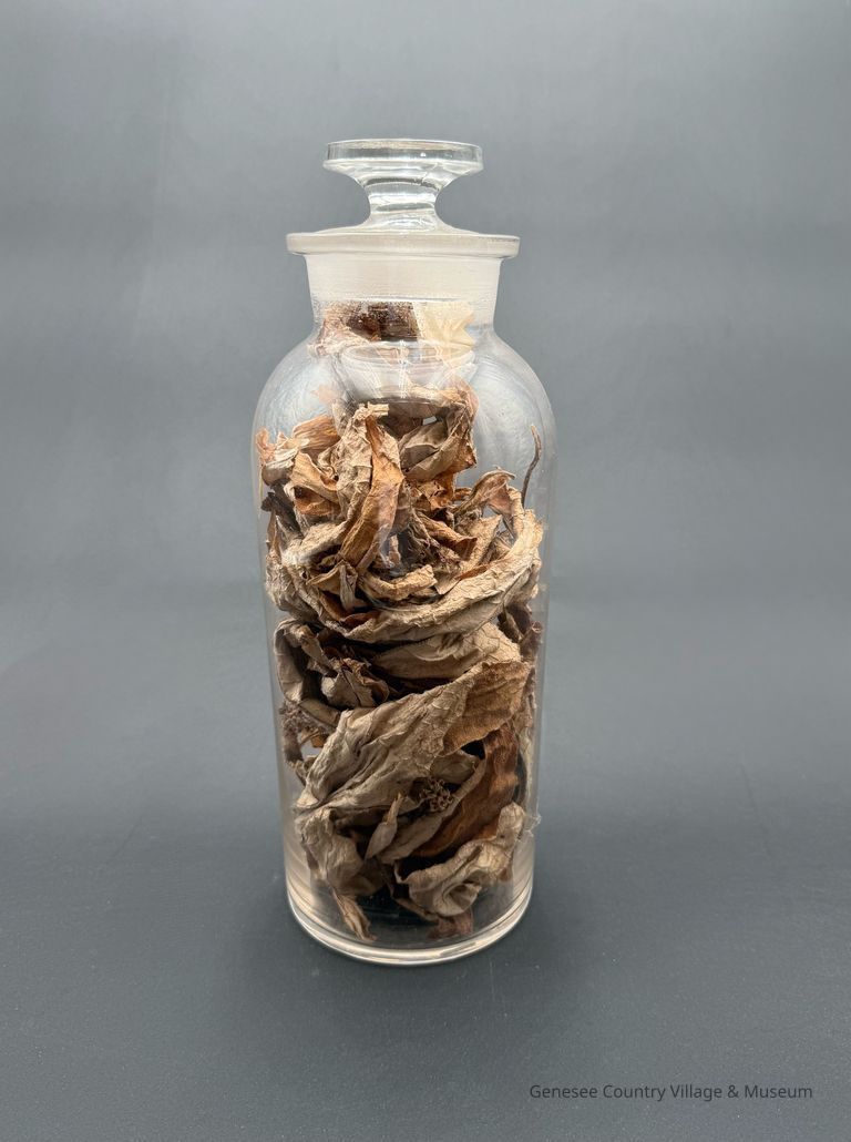 Apothecary Bottle