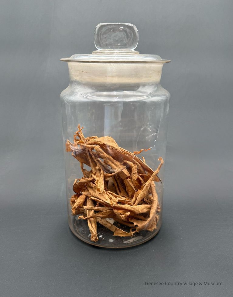 Apothecary Bottle
