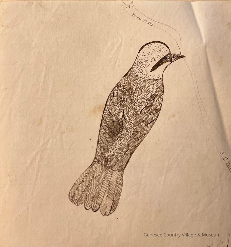 Form Book from Eastman Business College - Image 4