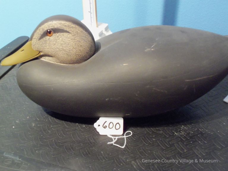 Black Duck - Image 2