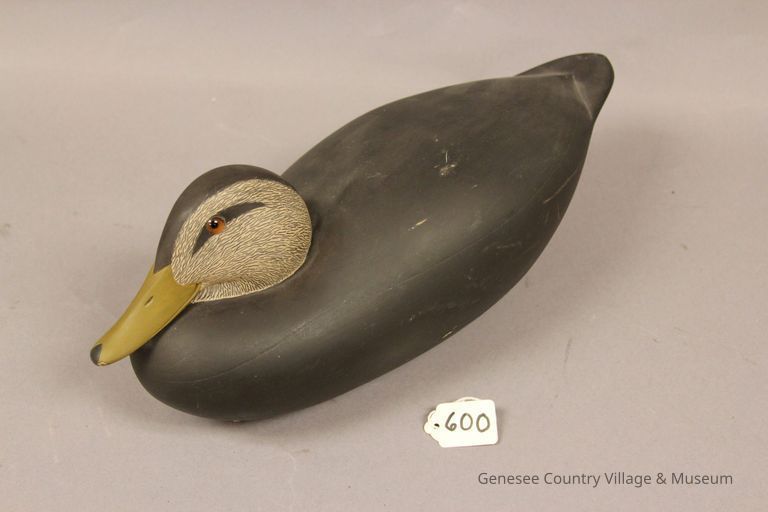 Black Duck