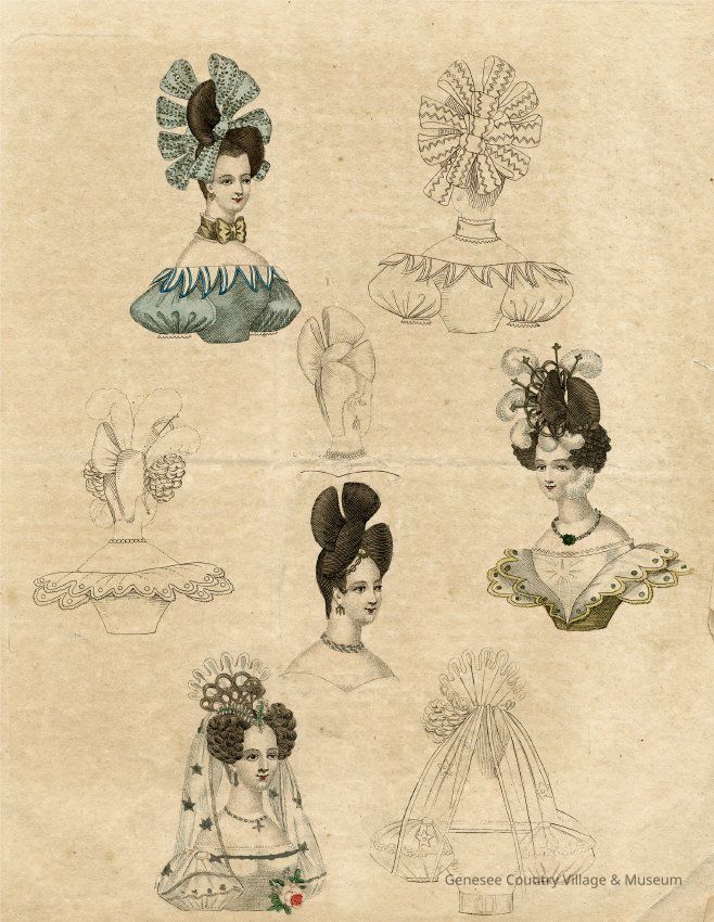 8 Heads with Elaborate Coiffure Views - Image 2