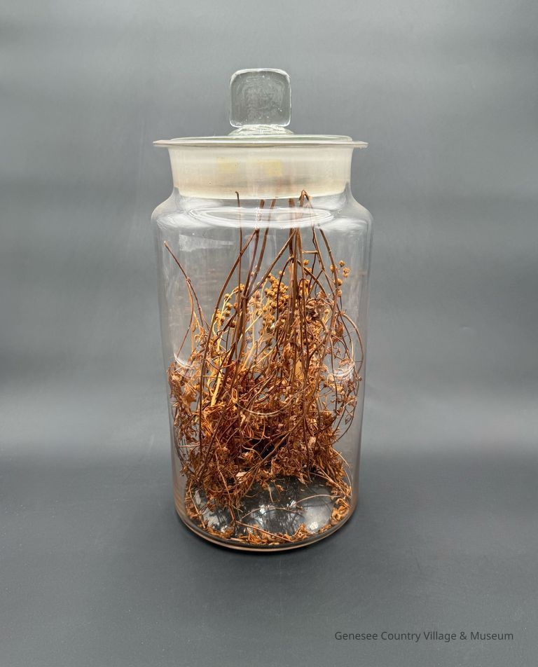 Apothecary Bottle