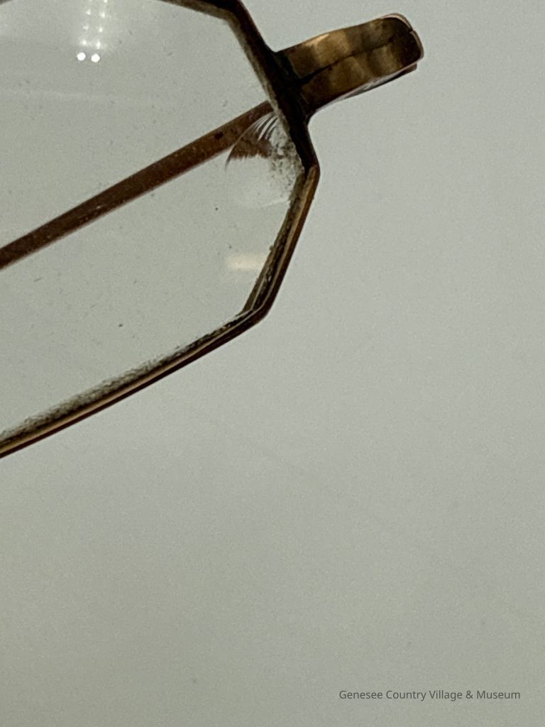 Spectacles & Case - Image 3