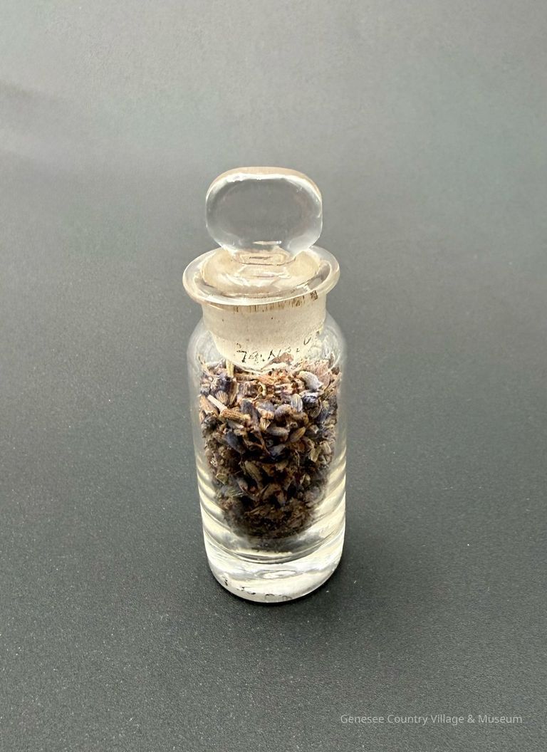 Apothecary Bottle