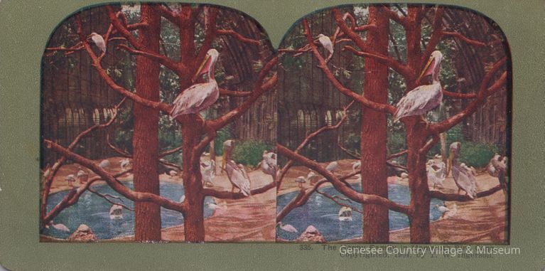 Stereograph
