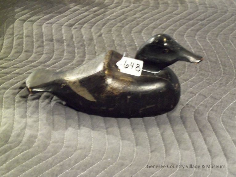 Bluebill Drake - Image 2