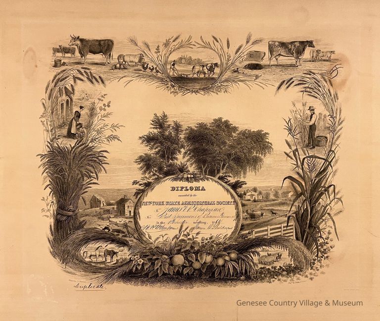 Diploma, James V. R. Chapman