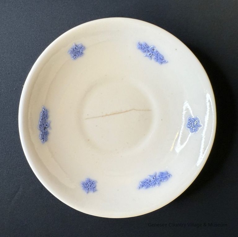 Saucer
