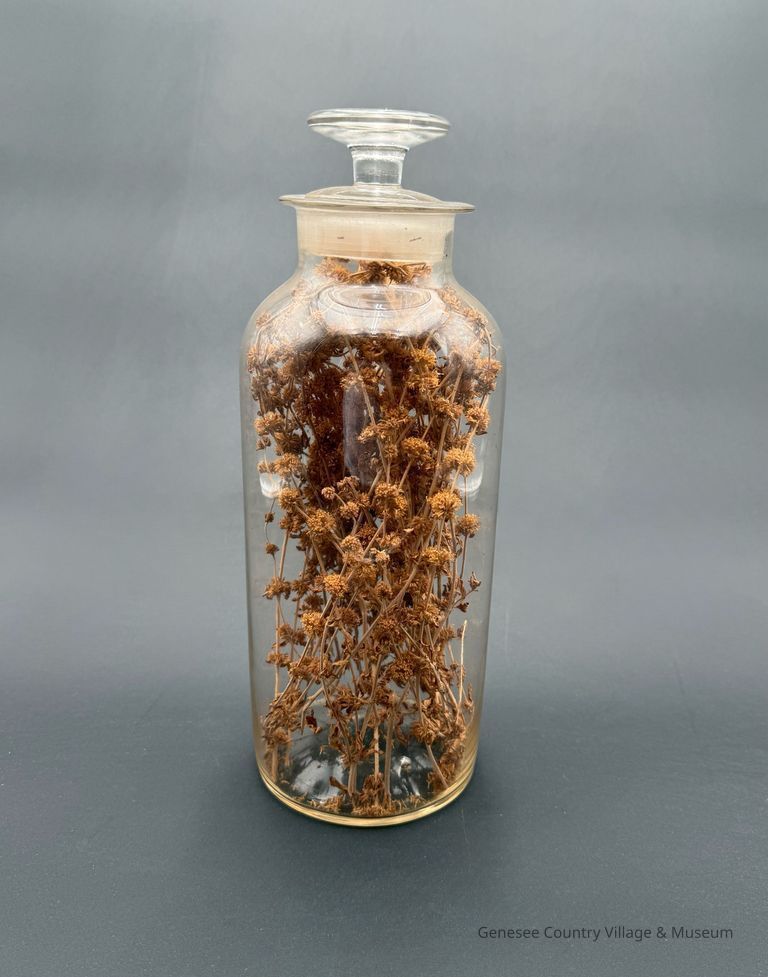 Apothecary Bottle