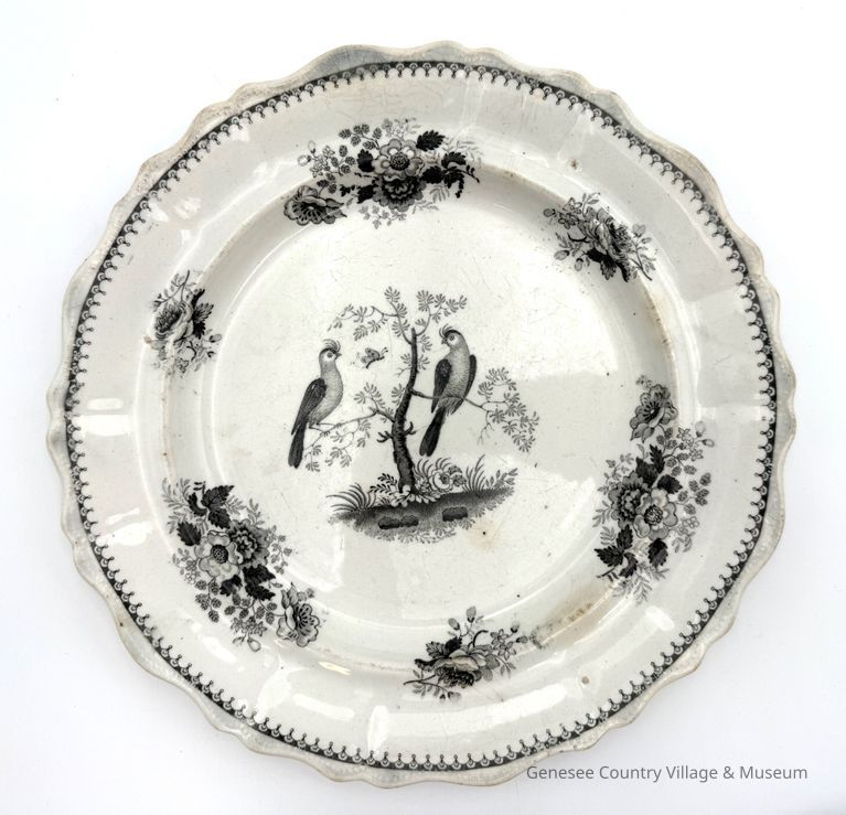 Dinner Plate
