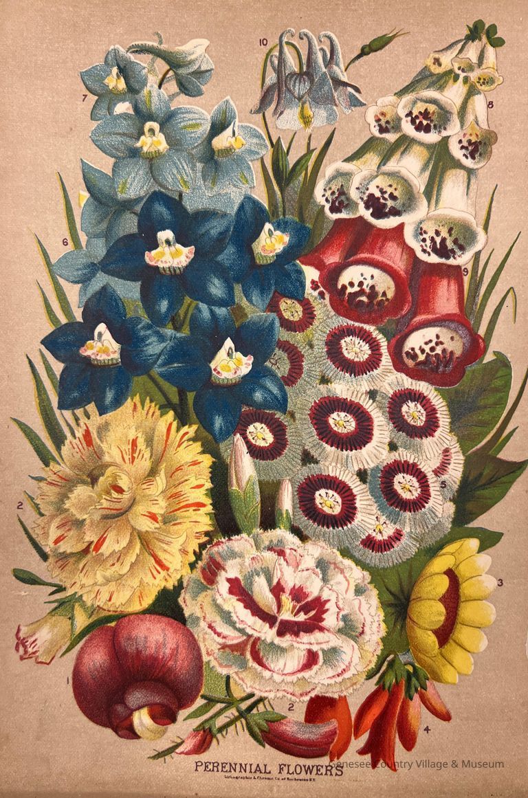 Vick's Flower and Vegetable Garden