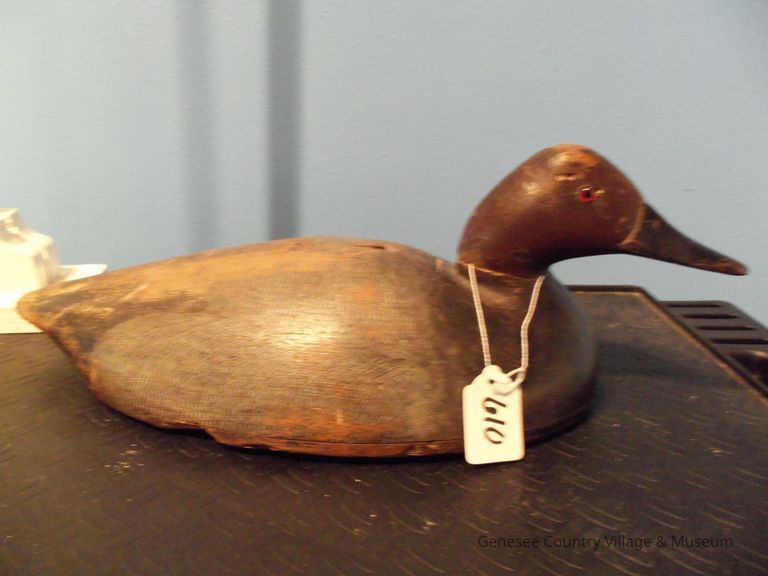 Canvasback Drake - Image 2