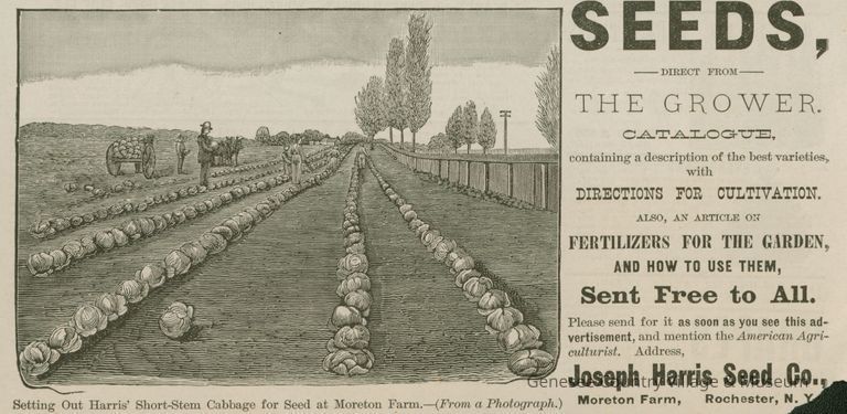 Advertisement, Harris Seeds