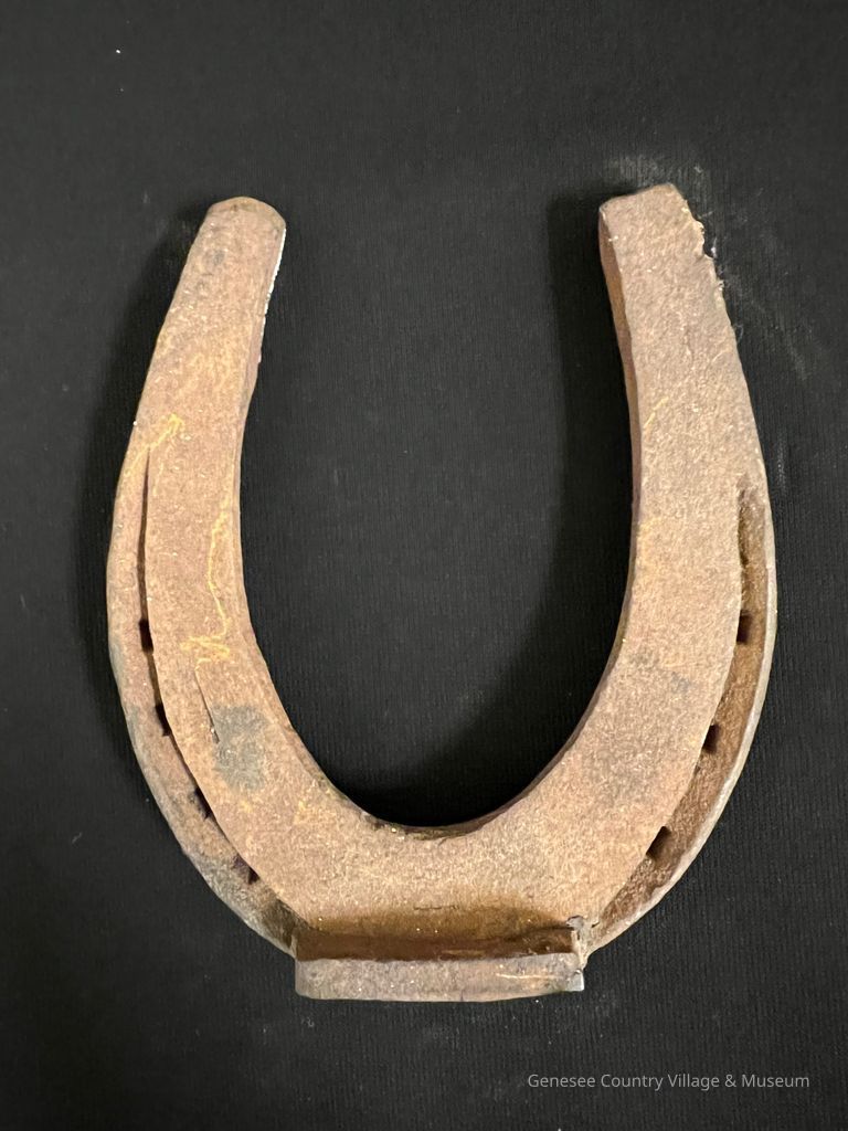 Horseshoe